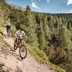 Affittacamere Granstein